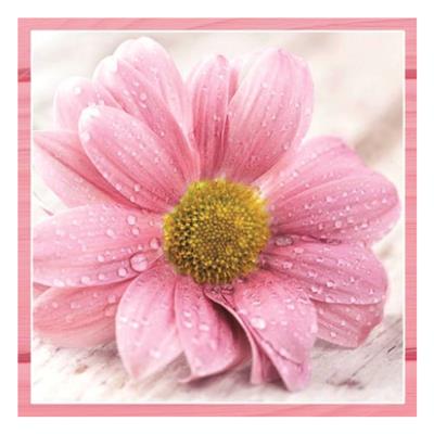 3ply Luncheon Candy Pink Flowers 20s