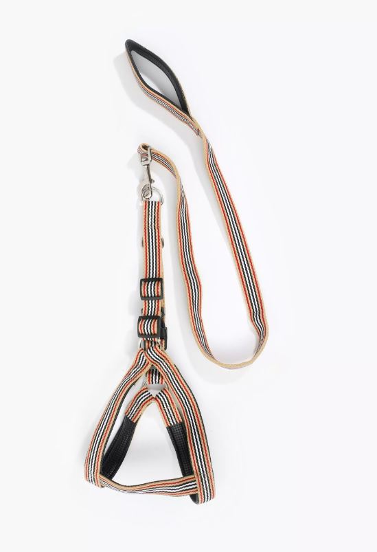 Pet Leash Harness Medium