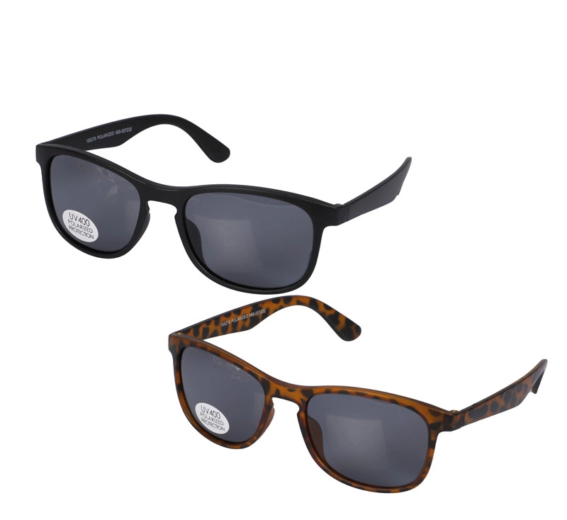Sunglasse Classic Wayfarer
